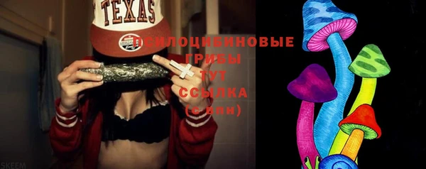шишки Алзамай