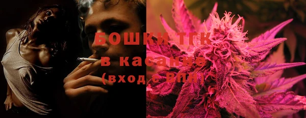 сатива Алексеевка