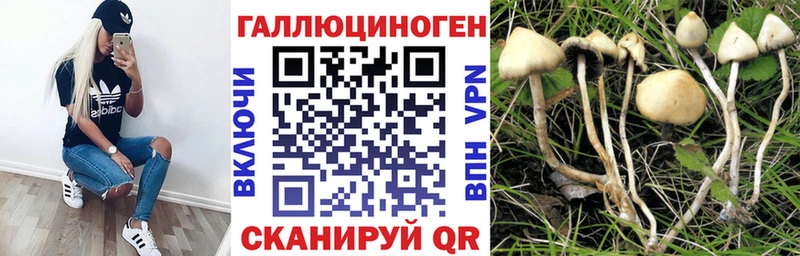 Галлюциногенные грибы MAGIC MUSHROOMS наркошоп Александров